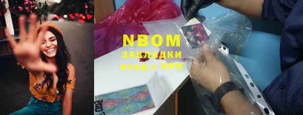 ГАЛЛЮЦИНОГЕННЫЕ ГРИБЫ Богданович