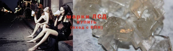 ГАЛЛЮЦИНОГЕННЫЕ ГРИБЫ Богданович