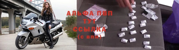 стаф Богородицк