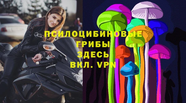 ГАЛЛЮЦИНОГЕННЫЕ ГРИБЫ Богданович