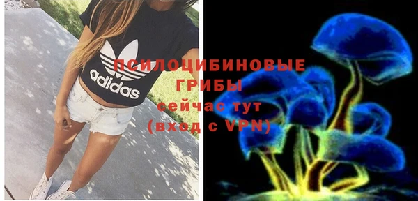 ГАЛЛЮЦИНОГЕННЫЕ ГРИБЫ Богданович