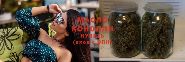 мдпв Богородск