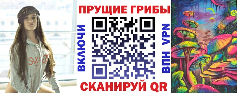 Псилоцибиновые грибы Psilocybe Невель